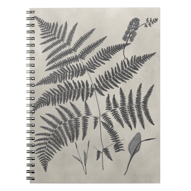 Vintage Ferns Anteckningsbok (Framsidan)