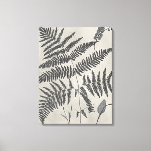 Vintage Ferns Canvastryck