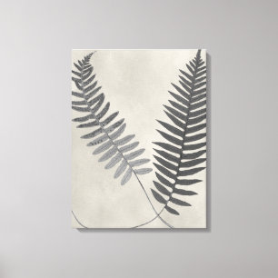 Vintage Ferns Canvastryck
