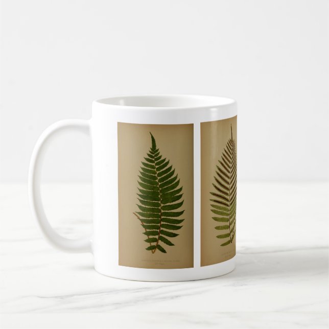 Vintage Ferns Kaffemugg (Vänster)