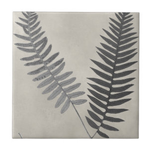 Vintage Ferns Kakelplatta