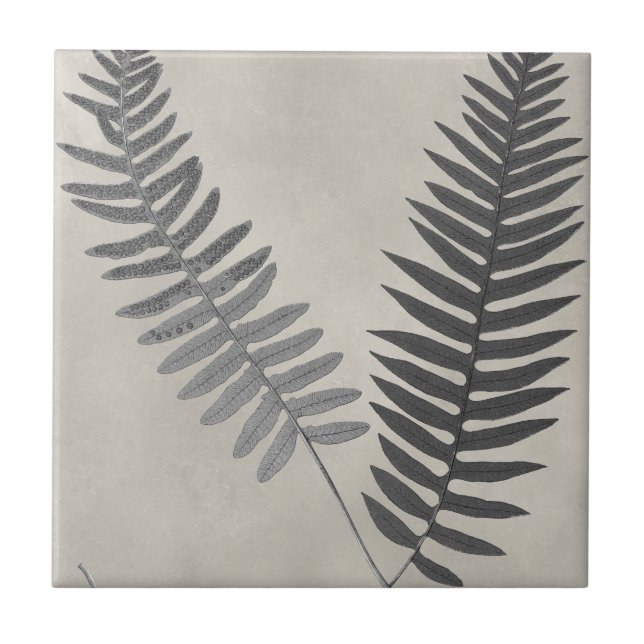 Vintage Ferns Kakelplatta (Framsidan)