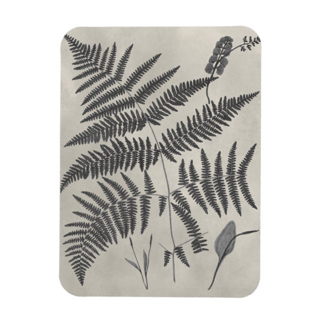 Vintage Ferns Magnet (Vertikal)