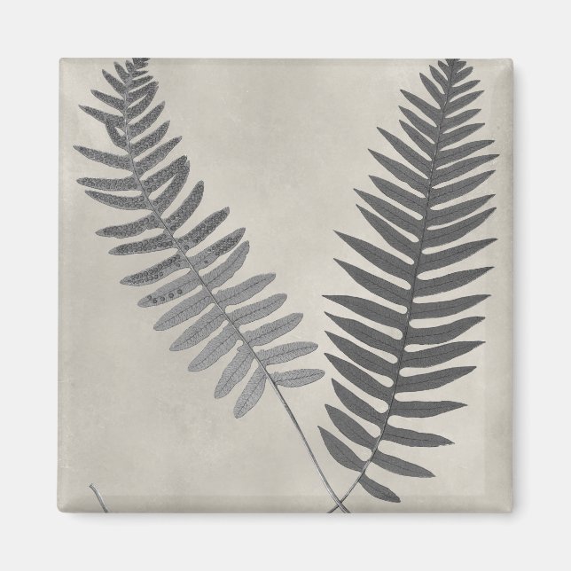 Vintage Ferns Magnet (Framsidan)