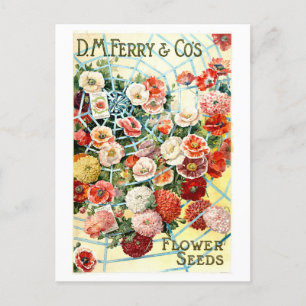Vintage Ferry Flower Seed Annons Vykort