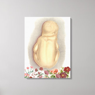 Vintage fetal anatomi canvas art