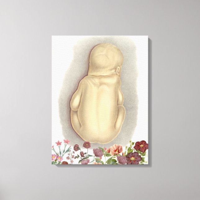 Vintage fetal anatomi canvas art (Framsida)