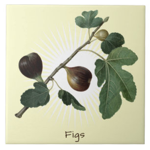 Vintage Fig Fruit Botanical Art Ceramic Tile Kakelplatta