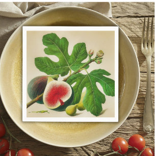 Vintage fig pappersservett