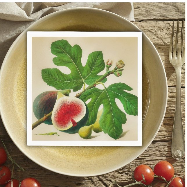 Vintage fig pappersservett (Skapare uppladdad)