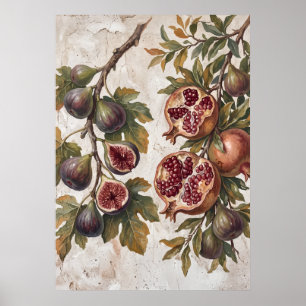 Vintage Fikon Granatäpple Konstaffisch Poster