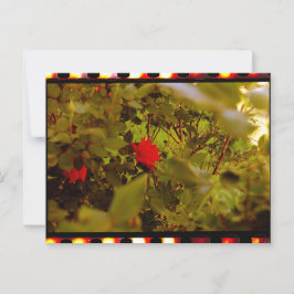 Vintage Film Gömt Ro vykort