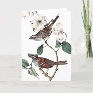 Vintage Finch och Dogwood, Mors dag Kort