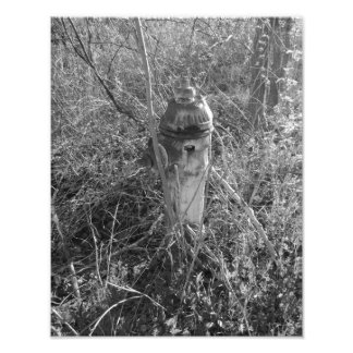 Vintage Fire Hydrant Fototryck