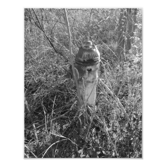 Vintage Fire Hydrant Fototryck (Framsidan)