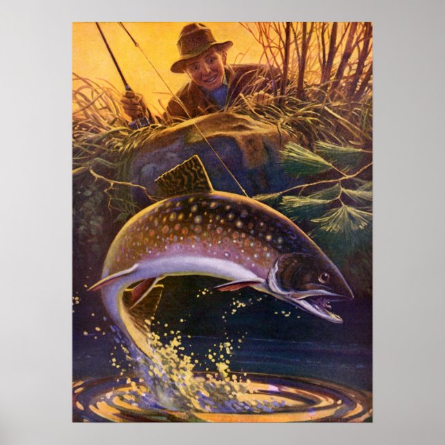Vintage Fish, sportfiske efter brook Trout Poster (Framsidan)