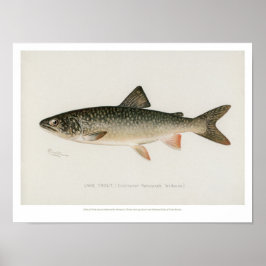 Vintage Fishes - Sjö Trout Poster