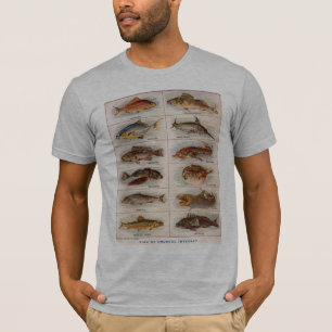 Vintage Fisk av ovanligt intresse Webster 1911 Tee Shirt