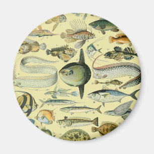 Vintage Fiskart Magnet