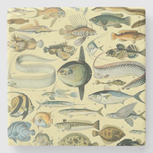 Vintage Fiskart Stenunderlägg (Framsidan)