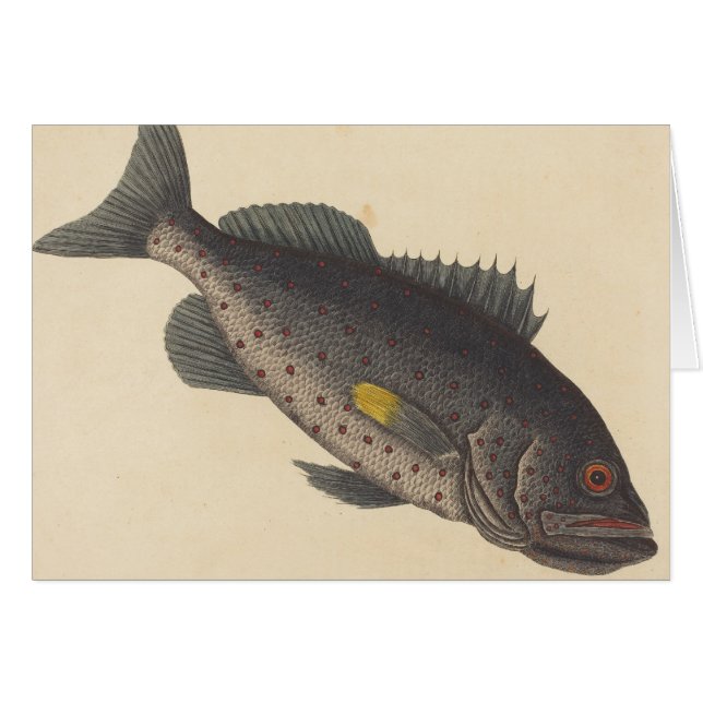 Vintage Fiske Art Hälsningskort (Framsidan Horizontal)