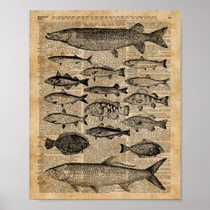 Vintage: fiskevattning över den gamla Bok sidan Poster