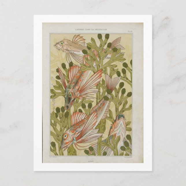 Vintage fiskillustration vykort (Framsida)