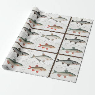 Vintage fiskillustrationer presentpapper