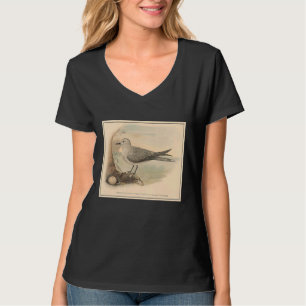 Vintage Fiskmås Illustration 1906 T Shirt