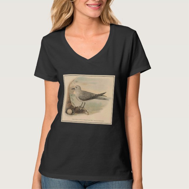 Vintage Fiskmås Illustration 1906 T Shirt (Framsida)