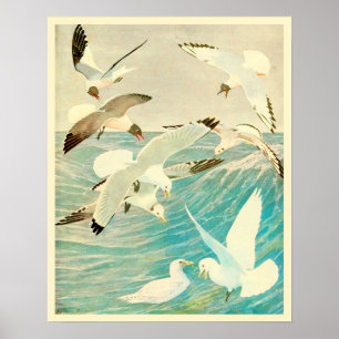 Vintage Fiskmås och Vinkara havet Poster