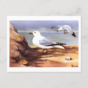Vintage Fiskmås Ornithology print R E Todhunter Vykort
