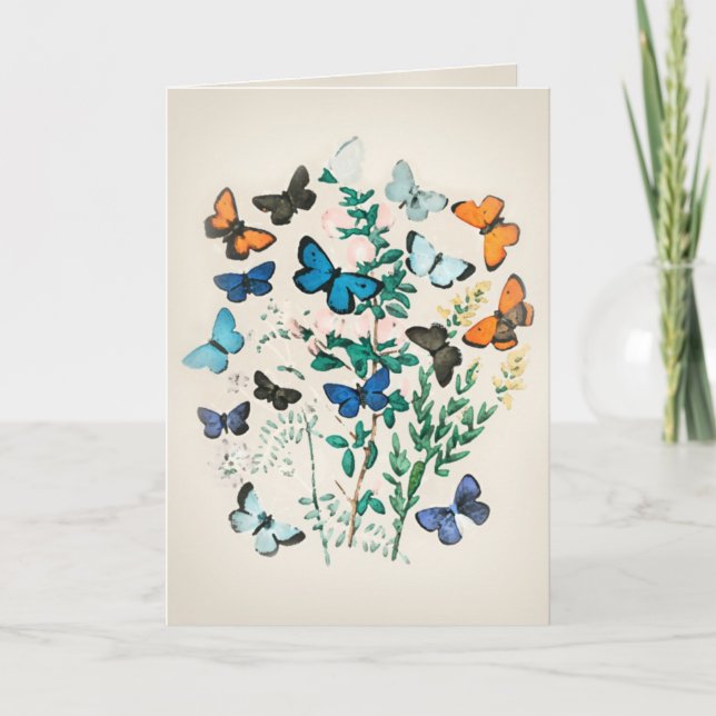 Vintage Fjäril Vattenfärg  Kort (Framsida)