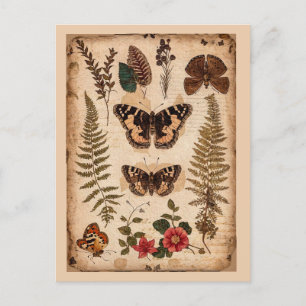 Vintage Fjärilar Ormbunkar Natur Journal Vykort