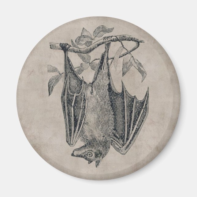 Vintage Fladdermus Magnet (Framsidan)