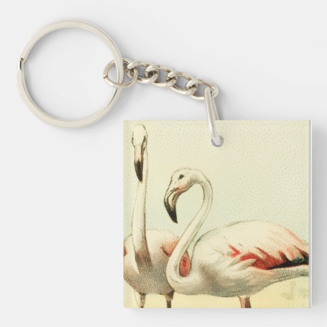 Vintage Flamingo (Framsidan)