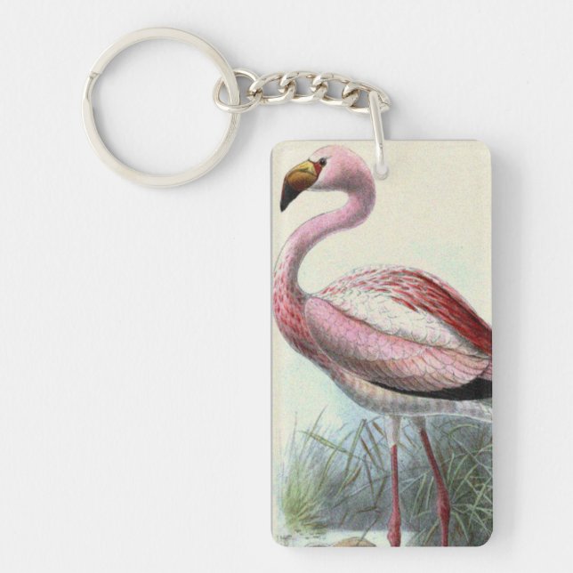 Vintage Flamingo (Framsidan)