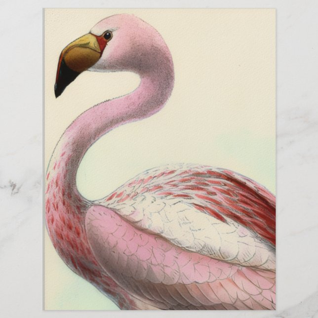 Vintage Flamingo Brevhuvud (Framsida)