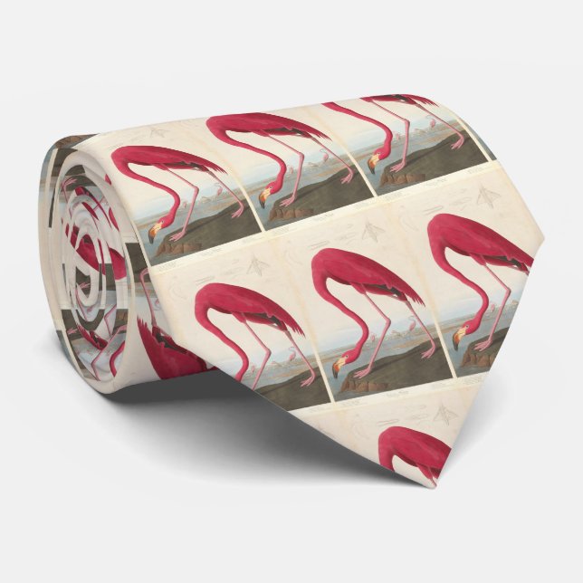 Vintage Flamingo Illustration (1838) Slips (Rullad)