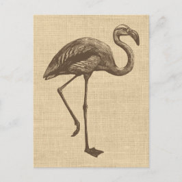 Vintage Flamingo Illustration på Burlap Vykort