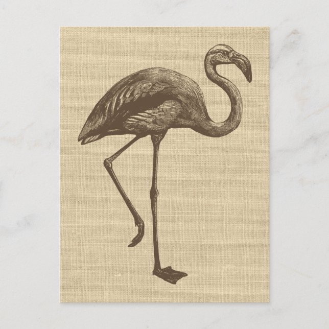 Vintage Flamingo Illustration på Burlap Vykort (Framsida)