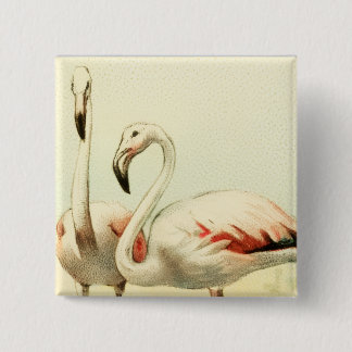 Vintage Flamingo Knapp