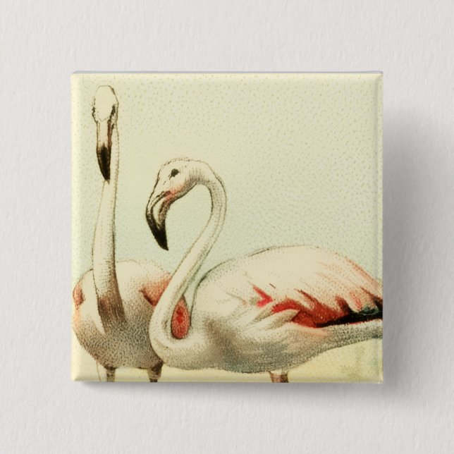 Vintage Flamingo Knapp (Framsida)