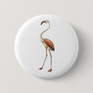Vintage Flamingo Knapp