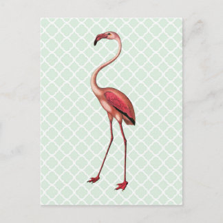 Vintage Flamingo på Mint Quatrefoil Postcard Vykort