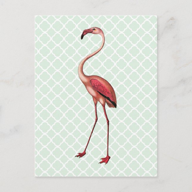 Vintage Flamingo på Mint Quatrefoil Postcard Vykort (Framsida)