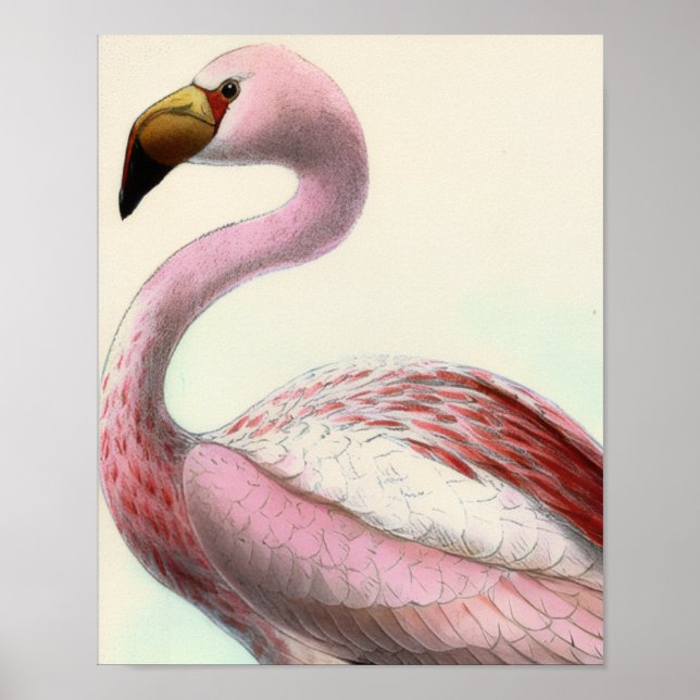 Vintage Flamingo Poster (Framsidan)