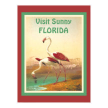 Vintage Flamingos Besök Florida-turismresa