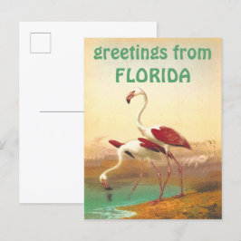 Vintage Flamingos Hälsning från Florida Travel Vykort
