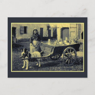 vintage Flamish milkmaid, hund cart Vykort
